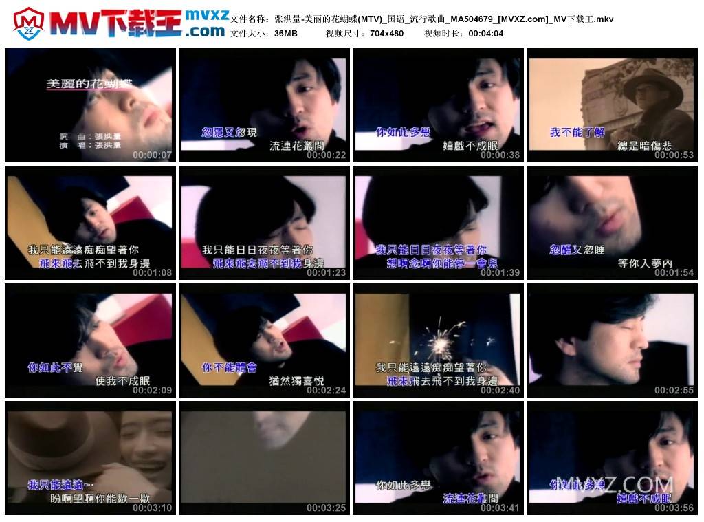 张洪量-美丽的花蝴蝶(MTV)_国语_流行歌曲_MA504679